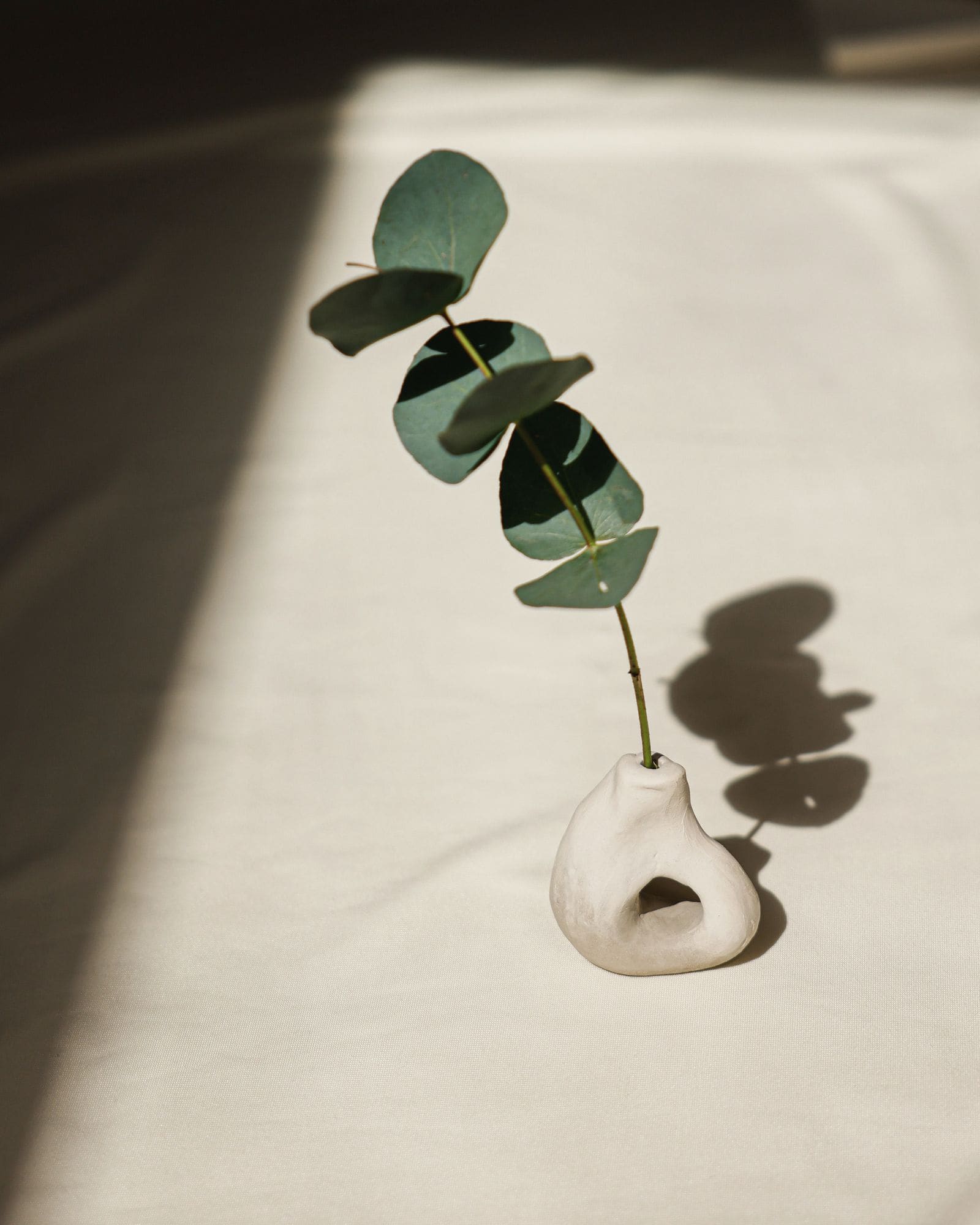 A single eucalyptus stem in a small handmade clay vase on white linen, in a band of warm sunlight